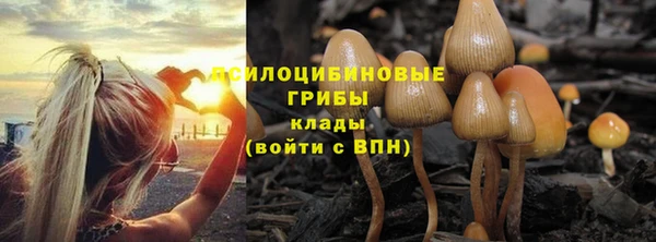тгк Балабаново