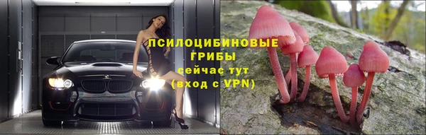 стафф Балахна
